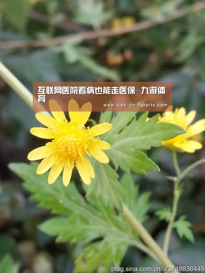 互联网医院看病也能走医保-九游体育(图2) 九游体育
