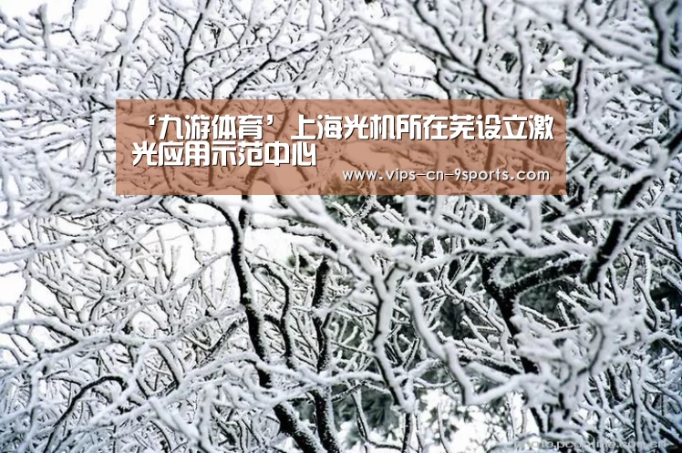 ‘九游体育’上海光机所在芜设立激光应用示范中心(图4) 九游体育