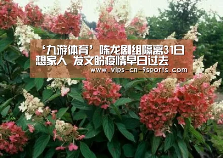 ‘九游体育’陈龙剧组隔离31日想家人 发文盼疫情早日过去(图4) 九游体育