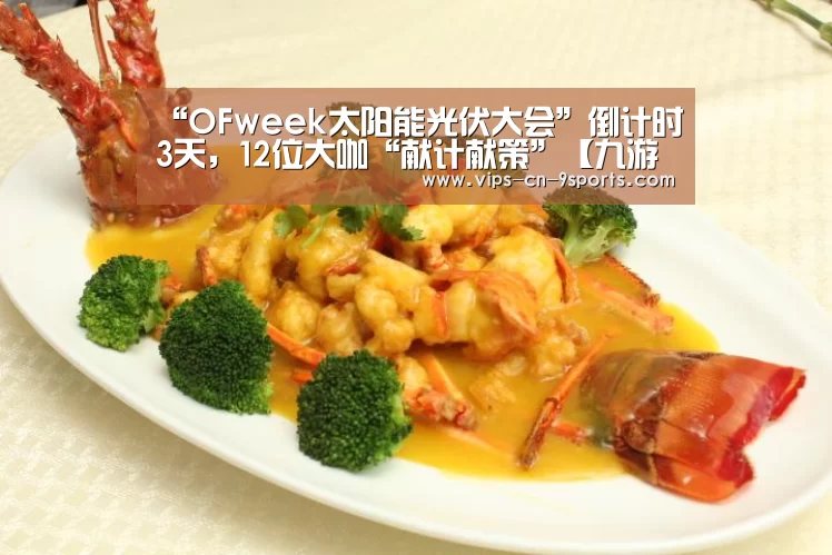 “OFweek太阳能光伏大会”倒计时3天,12位大咖“献计献策”【九游体育】(图1) 九游体育